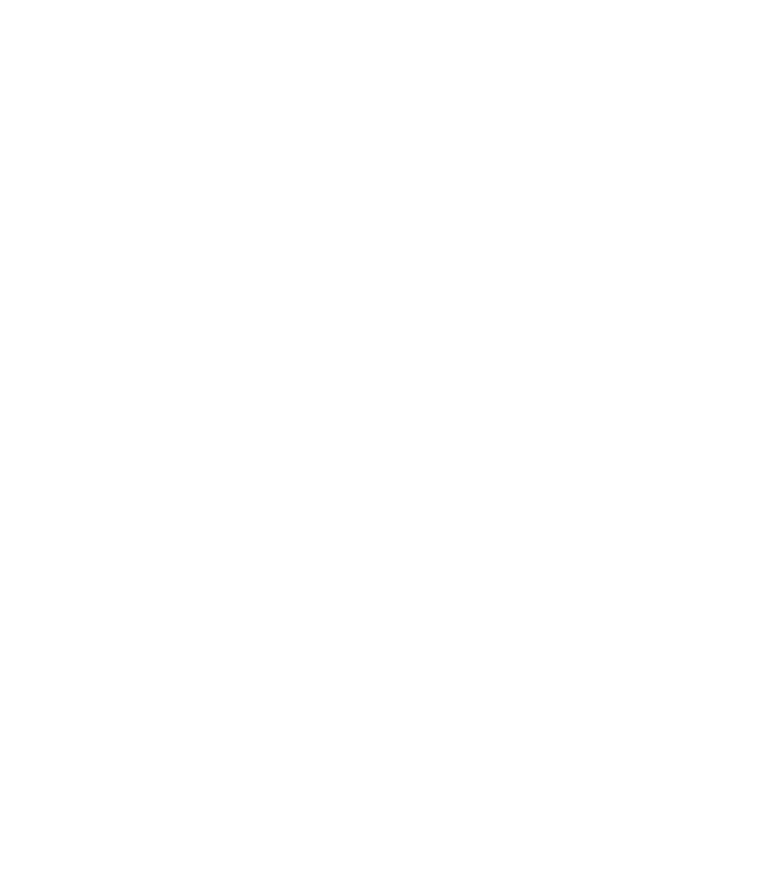 TikTok Shop